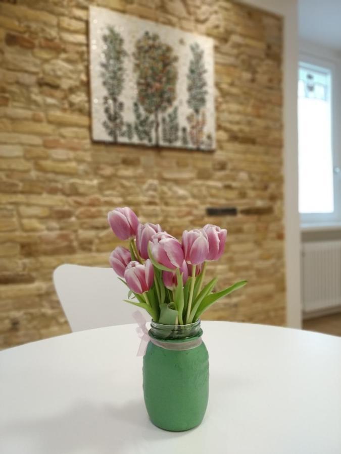 B&B Dimora Damiani Montefiore dell'Aso Экстерьер фото